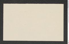 k.k. naturhistorisches Hofmuseum, Intendanzakten 1885-1896 (Hauer), Aktenzahl Z.295/1892, Seite 2